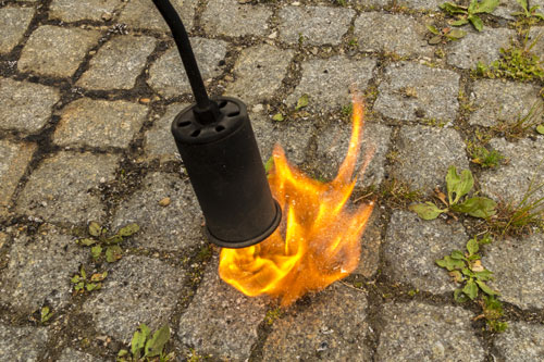 Abflammtechnik zur Unkrautvernichtung
