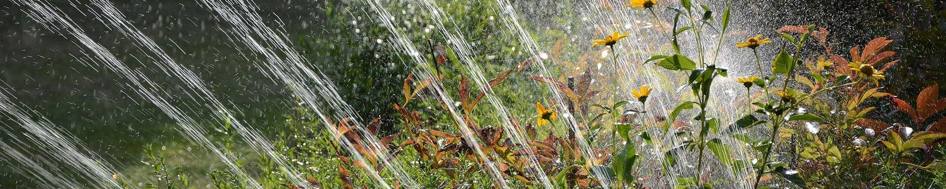 Wasser marsch: Tipps für die Gartenbewässerung