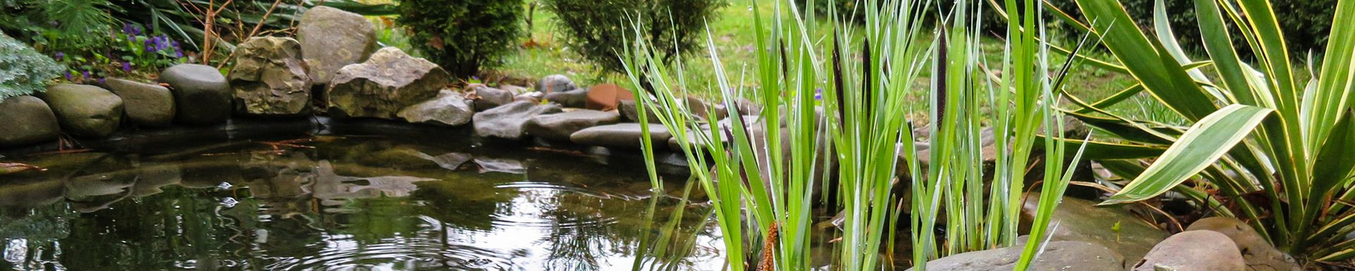 Der Teich im Garten: Oase der Erholung