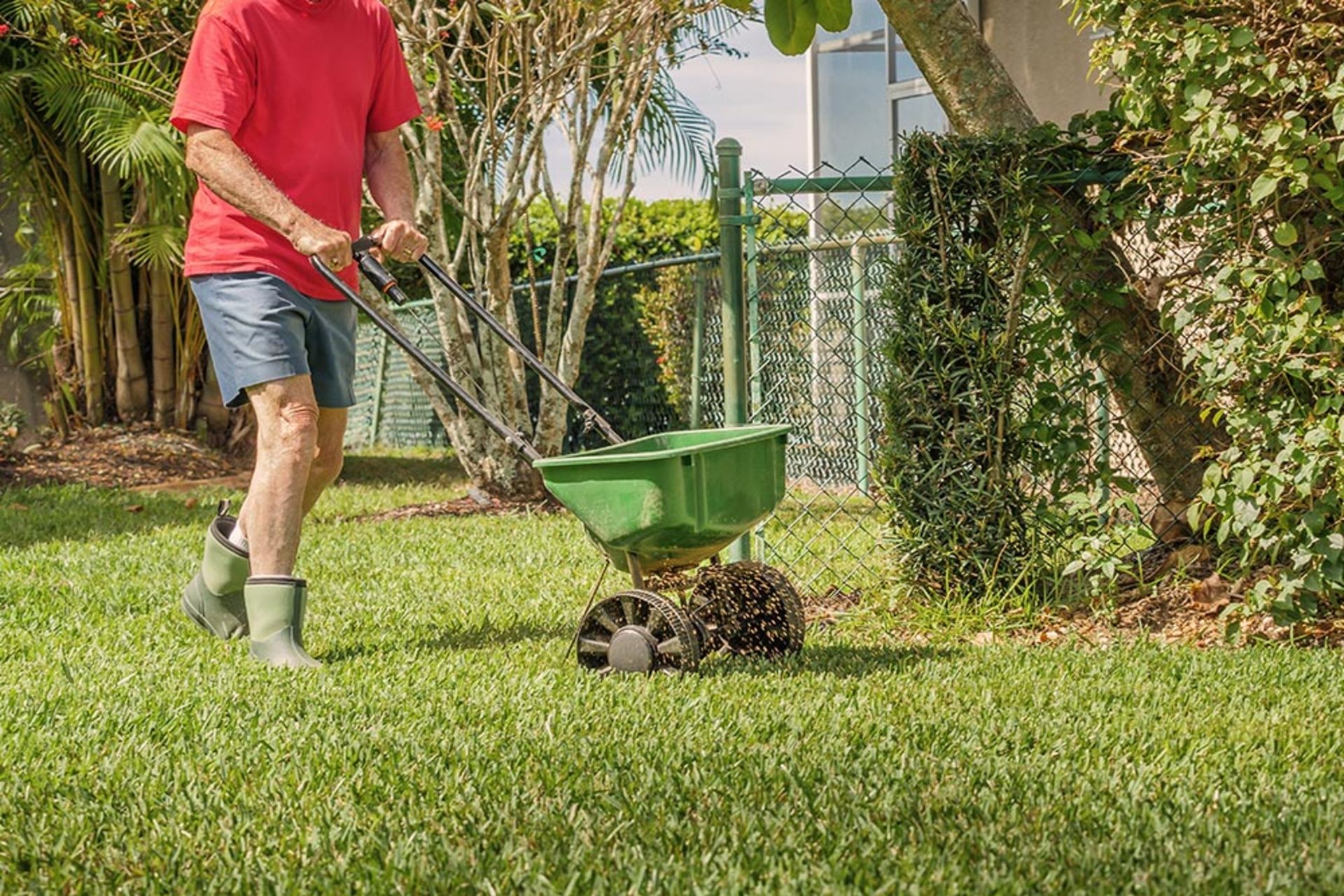 Ein Mann düngt einen Rasen