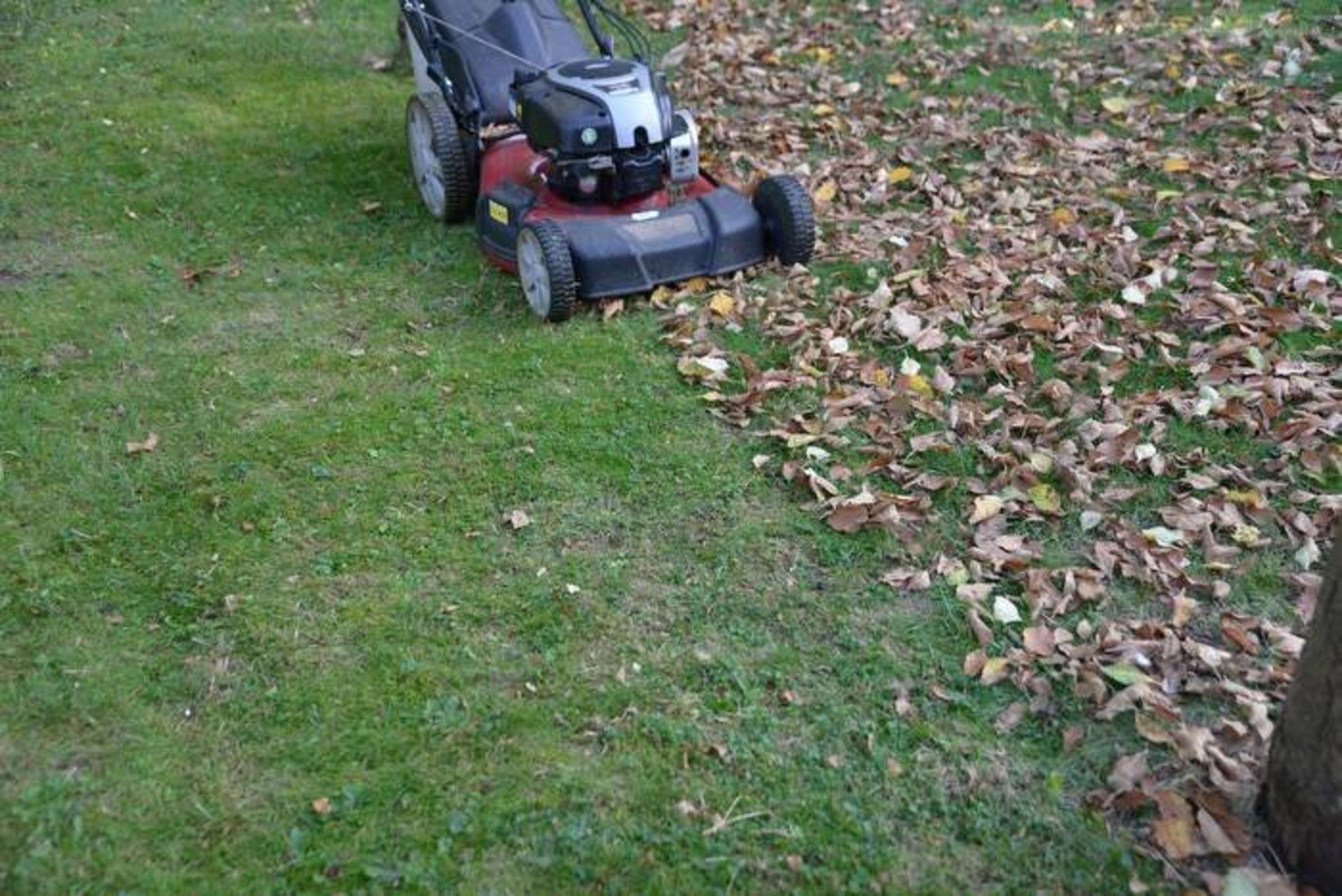 Der Rasenmäher: Ein nützlicher Helfer beim Laubsammeln